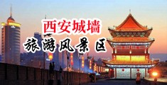 骚货烂逼动图中国陕西-西安城墙旅游风景区